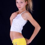 Holly-Model